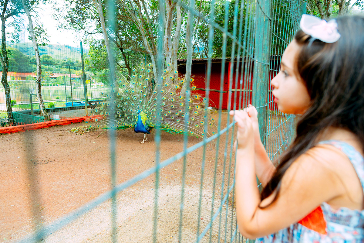 Viveiro de animais